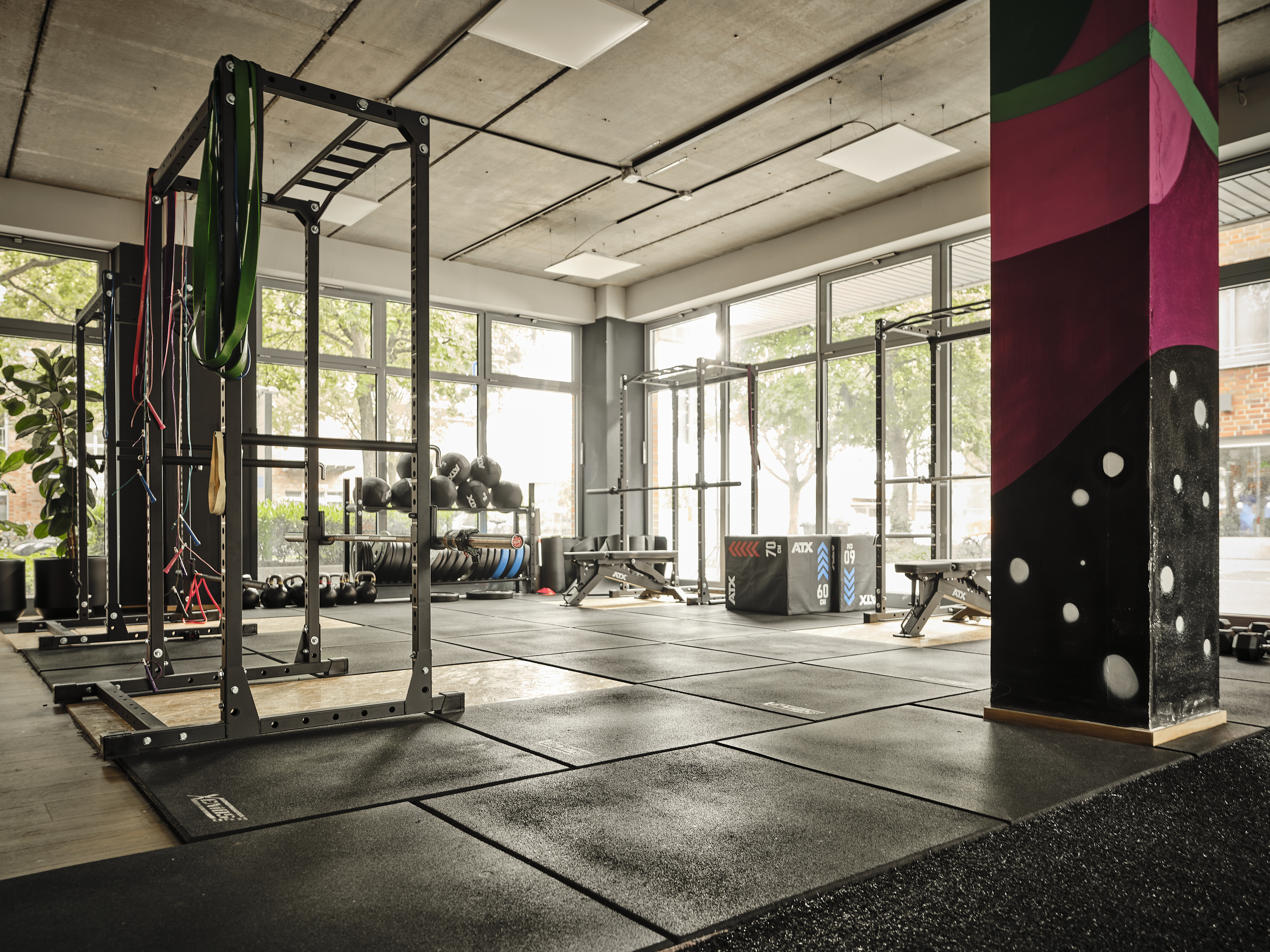 Kurs- und Trainingsraum mit Rig und großen Fenstern