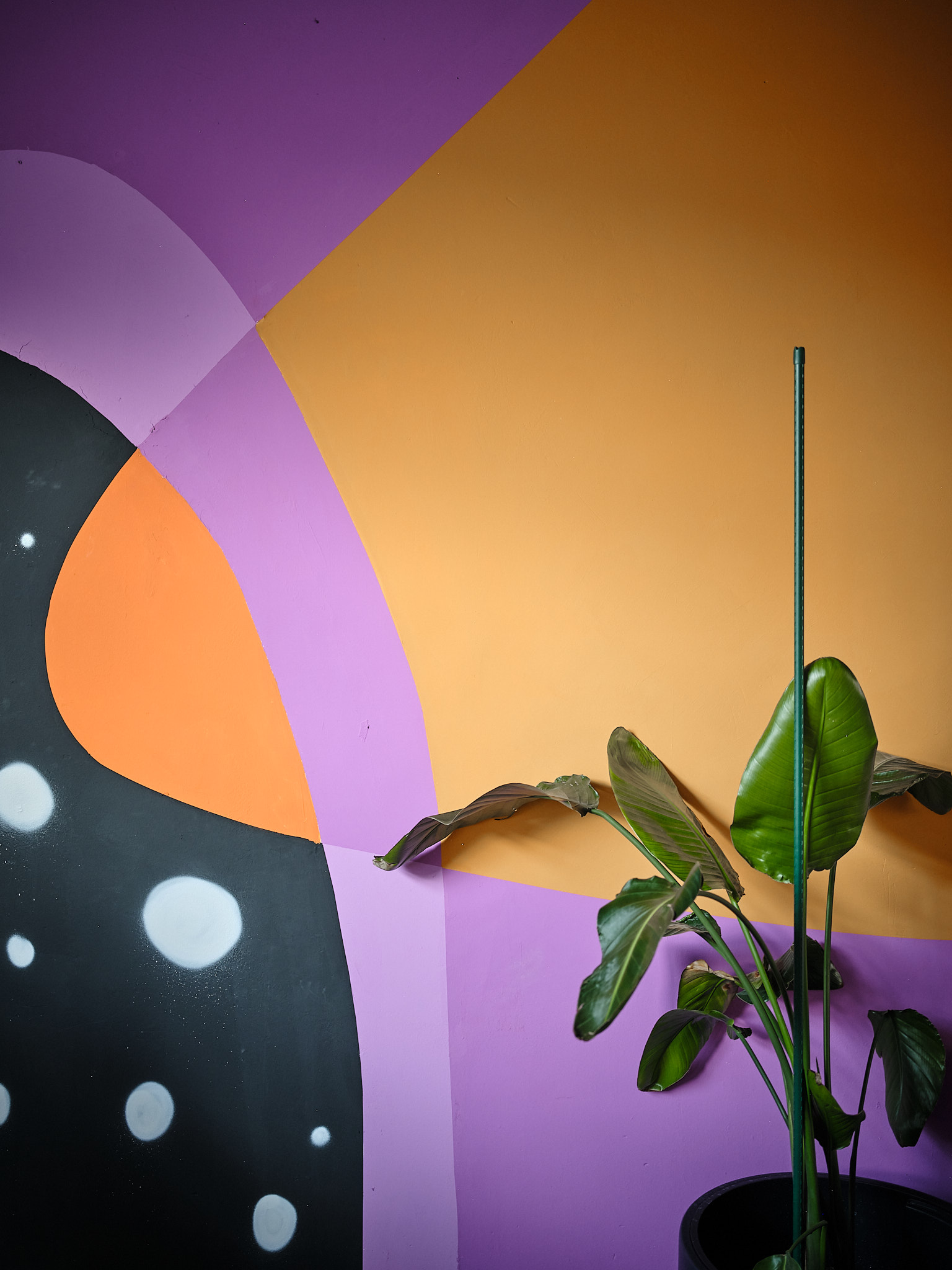 Mural-Wand mit Pflanze im Vordergrund